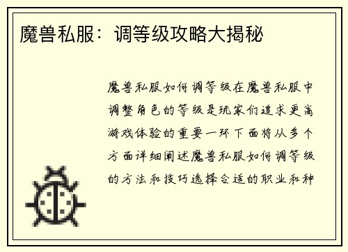 魔兽私服：调等级攻略大揭秘